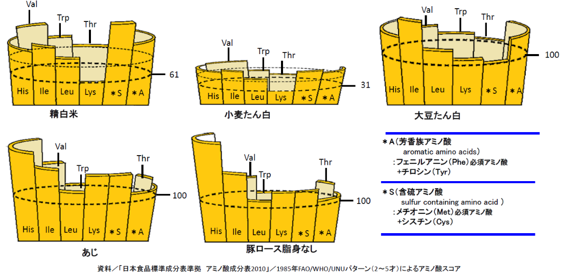 アミノ酸スコア